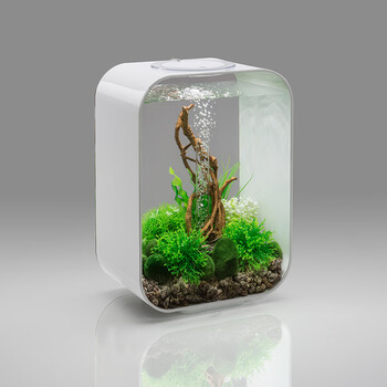 biorb办公桌透明生态鱼缸 鱼缸水族箱小型迷你办公室桌面客厅鱼缸生态