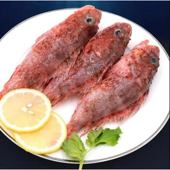 亚又婧舟山新鲜小虎头鱼1斤石翁鱼石斑鱼狗公鱼虎头斑