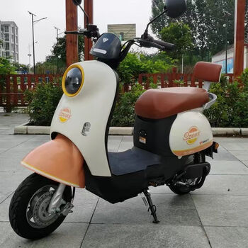 雪辰国标踏板小龟王电动车可上牌大功率男女通用高速代步两轮车 轻氧