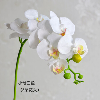 过胶手感假花蝴蝶兰仿真花单支花客厅落地绢花装饰花家居婚庆摆花