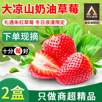 沙窝曙光大凉山草莓99红颜草莓奶油草莓甜孕妇现摘应季新鲜时令水果生鲜 大凉山草莓净重1.4斤2盒15g/颗起