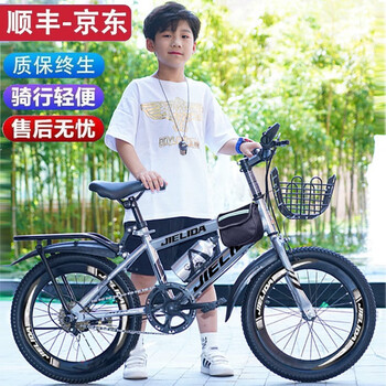 捷力达自行车价格走势与销售趋势分析