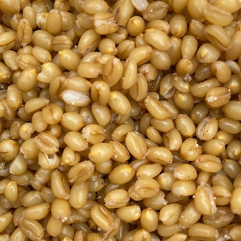 发酵酒糟打窝料黑坑野钓鲫鱼鲤鱼玉米小麦钓鱼饵窝料奶香小麦发酵窝料