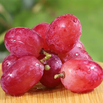 当季采摘新鲜脆甜红提子 孕妇水果整 1000g【进口新鲜无籽纯甜红提】