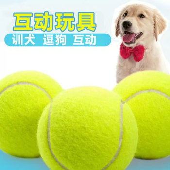 狗狗玩具球边牧柯基金毛逗狗遛狗训犬专用耐咬磨牙小狗宠物狗网球宠物