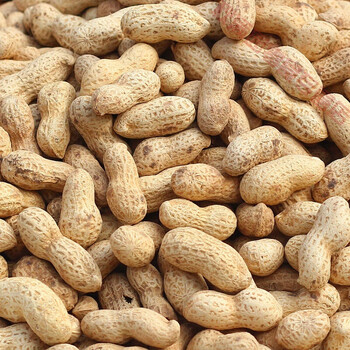 炒花生带壳山东20年新花生5斤装农家铁锅沙子原味现炒熟花生散装铁锅