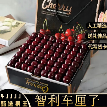 前岔车厘子 智利车厘子现货特大巨无霸大樱桃礼盒装 生鲜团购水果礼盒 1千克 中大果 JJ 28-30mm 中大果