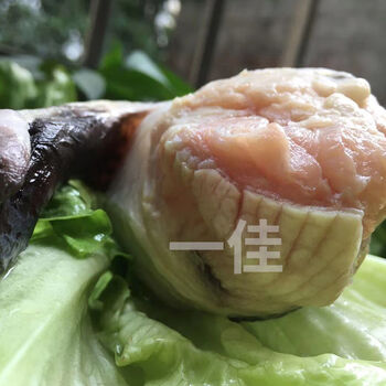 新鲜鳄鱼鞭整根现杀鳄鱼人工养殖鳄鱼新鲜肉类顺丰3条鳄鱼鞭