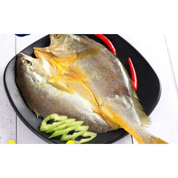 鮮曝大黃魚300g黃魚鯗黃花魚乾 寧波舟山海鮮特產水產乾貨【圖片 價格