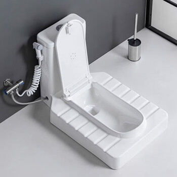 元族哲初免挖坑蹲便器一体加宽免砌台式马桶坐便器改蹲厕家用明装陶瓷