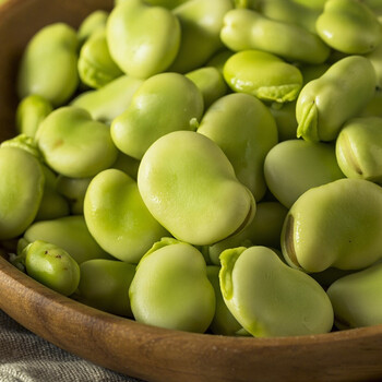 寿禾寿禾七星蚕豆种子50克袋