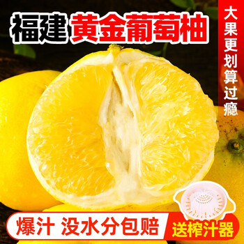 十里馋23年福建黄金葡萄柚子爆汁礼盒纯甜西柚整箱新鲜时令水果节日送礼 9斤装 单果300g起 净重8.5-9斤