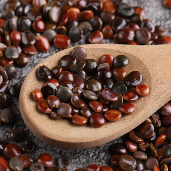 dj好物葛花枳椇子茶野生特级葛根千杯神器