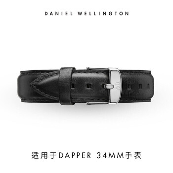 丹尼尔惠灵顿（DanielWellington）DW表带17mm皮带银色针扣女款DW00200096（适用于34mm表盘系列）