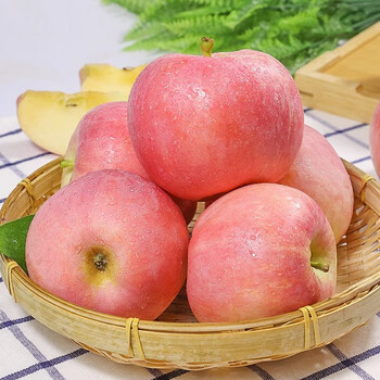 果农侠现摘山西红富士冰糖心苹果脆甜当季时令新鲜水果丑苹果整箱礼盒装 10斤泡沫箱75-80mm净重8.5-9斤