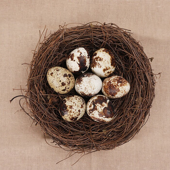 今日好价：梦龙礼盒