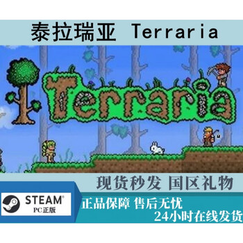 Steam Pc正版terraria 泰拉瑞亚国区礼物简体中文联机游戏激活简体中文新手版 图片价格品牌报价 京东