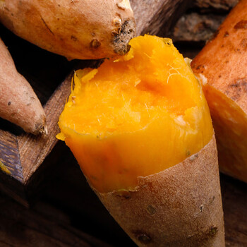 遇见悯农正宗烟薯25 河南沙地红薯 现挖新鲜黄心地瓜 洋芋 蜜mi薯整箱5斤 河南沙地红薯 优选中果带箱5斤装