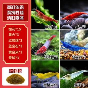 卡奇鱼 观赏虾 活体淡水 米虾 工具清洁虾 宠物虾 热带小型虾除丝藻褐藻 五彩虾系列套餐-01