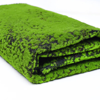 瑾禾 仿真植物墙造景绿植物假苔藓仿真苔藓微景观盆景人造草坪墙面