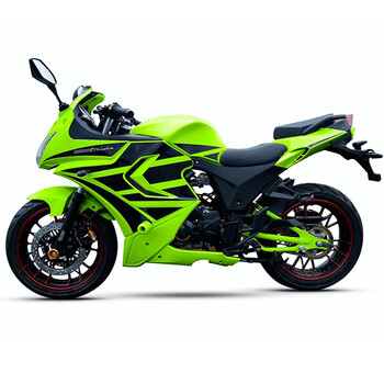 北极光摩托车跑车国四电喷200cc地平线街车公路趴赛机车可上牌绿色黑