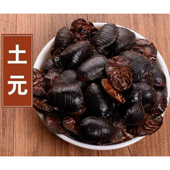 土元 中药材 干土元 土鳖虫 土鳖子 土元粉 土元干 土元500克 土元500