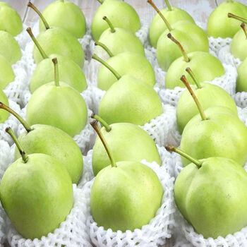 陕西早酥梨10斤梨子新鲜当季皇冠青皮梨整箱3斤5斤批发 带箱9.