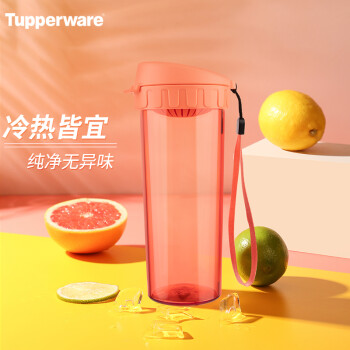 特百惠塑料杯价格走势及推荐