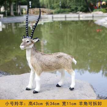仿真羚羊真皮毛藏羚羊摆件玩偶工艺品仿真羚羊动物玩具模型标本摆设