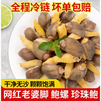 鲍螺老婆脚假鲍鱼鲜活无沙海蜗牛熟冻带壳大脚螺网红新鲜海鲜贝类4斤