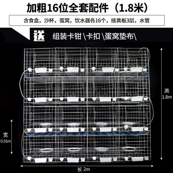 鸽子笼养殖笼12位鸽子配对繁殖笼家用信肉鸽笼子养殖笼养鸽子的笼