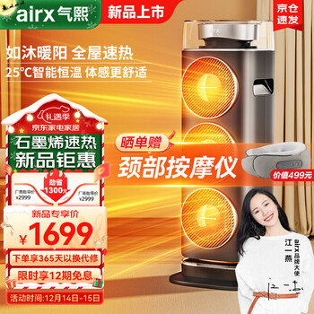 airx气熙 取暖器家用暖风机叶电暖器立式热风机室内电暖气智能遥控轻音节能 W30H 深空灰