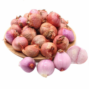 泽鲜达迷你圆葱小洋葱 东北毛葱生吃干红葱头商用摆盘佐餐熬葱油 精选