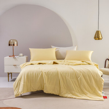 钱皇花时100双宫茧桑蚕丝夏凉被杭州礼物系列蚕丝被芯蚕丝净重08斤200