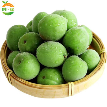 云南青梅鲜果酸梅果当季新鲜现摘泡酒梅酵素梅孕妇水果生青梅 5斤