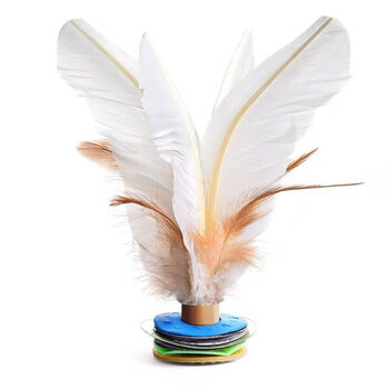 60恩依源比赛专用毽子成人儿童健身训练花毽鹅毛耐踢羽鸡毛键子毽球