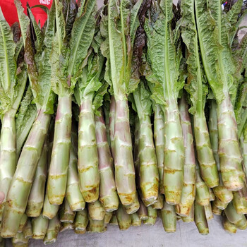 源外园贵州农家自种新鲜紫叶莴笋鲜嫩香莴苣莴菜青莴笋带叶现摘现发