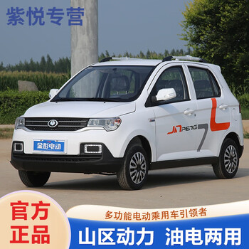 金彭d90新能源电动四轮代步轿车油电两用全封闭成人锂电汽车 动力版