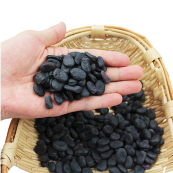黑蚕豆种子200g散装【图片 价格 品牌 报价】-京东