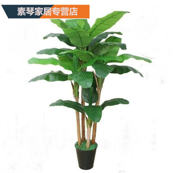 全熙辰 素琴仿真芭蕉树香蕉树热带景观植物落地塑料假树室内客厅摆件