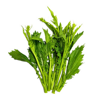 新鲜蔬菜苦芥青菜苔冲菜现摘现发农家自种135斤普通