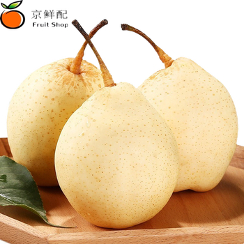 正宗雪梨河北赵县赵州雪花梨新鲜水果梨子梨水雪梨10斤