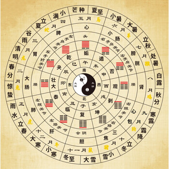 太极八卦图中医五行五行太极八卦二十四节气经络十二时辰周易易经八卦