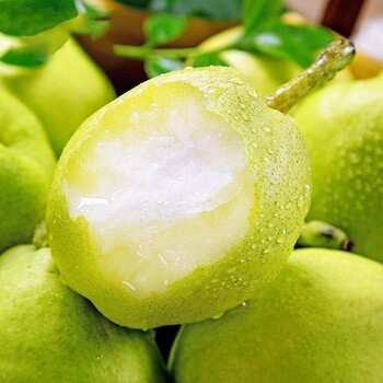 京逸新疆库尔勒梨香梨 应季新鲜水果 特级大果120-130g 10斤