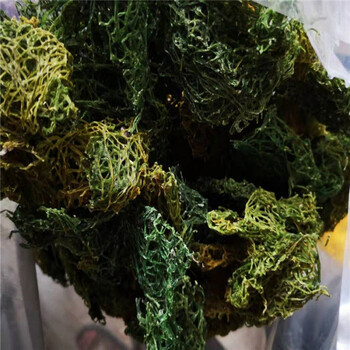 精选好货 &#海粉中药材 50克干货海兔粉 红海