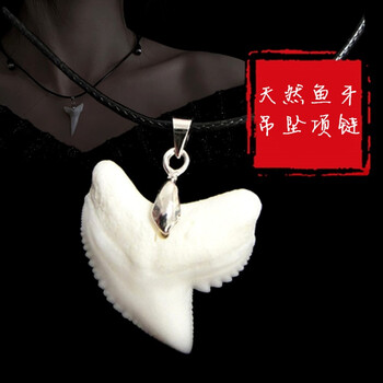 天然鱼牙吊坠手工个性情侣潮流项链创意小众牙齿男女礼物 马鲛鲨3.