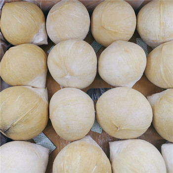 顺丰现货秒发新鲜当季水果时令水果椰青鸡椰汁香水老椰子肉大果12个