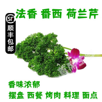 沃鲜谷叶菜类产品：顶级生鲜，满足您的味蕾和预算需求！