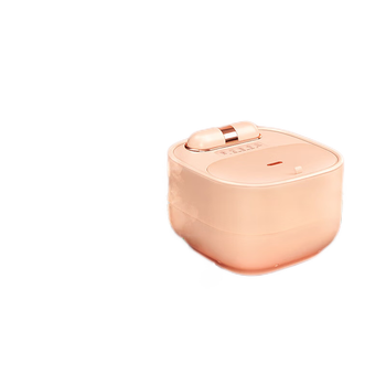 足浴器哪个品牌好（足浴器足浴器排行榜）