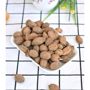 砂仁250g海南砂仁缩砂仁正饱满大果